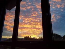 The Visionaire (D27), Condominium #616616331
